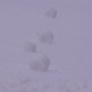 Science News: Snow Rollers