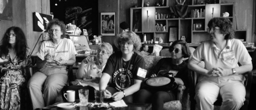 Friends of Lulu was an organization founded in 1993 with the purpose of getting more women and girls involved in comics.