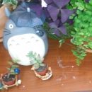 My Neighbor Totoro Re:tro Review!