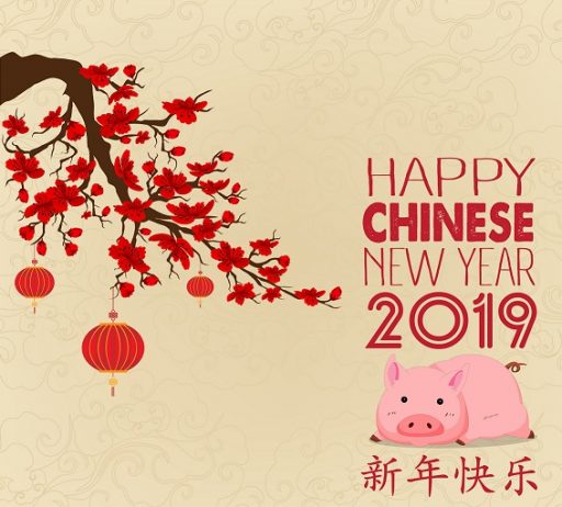 Year of the Pig 2019